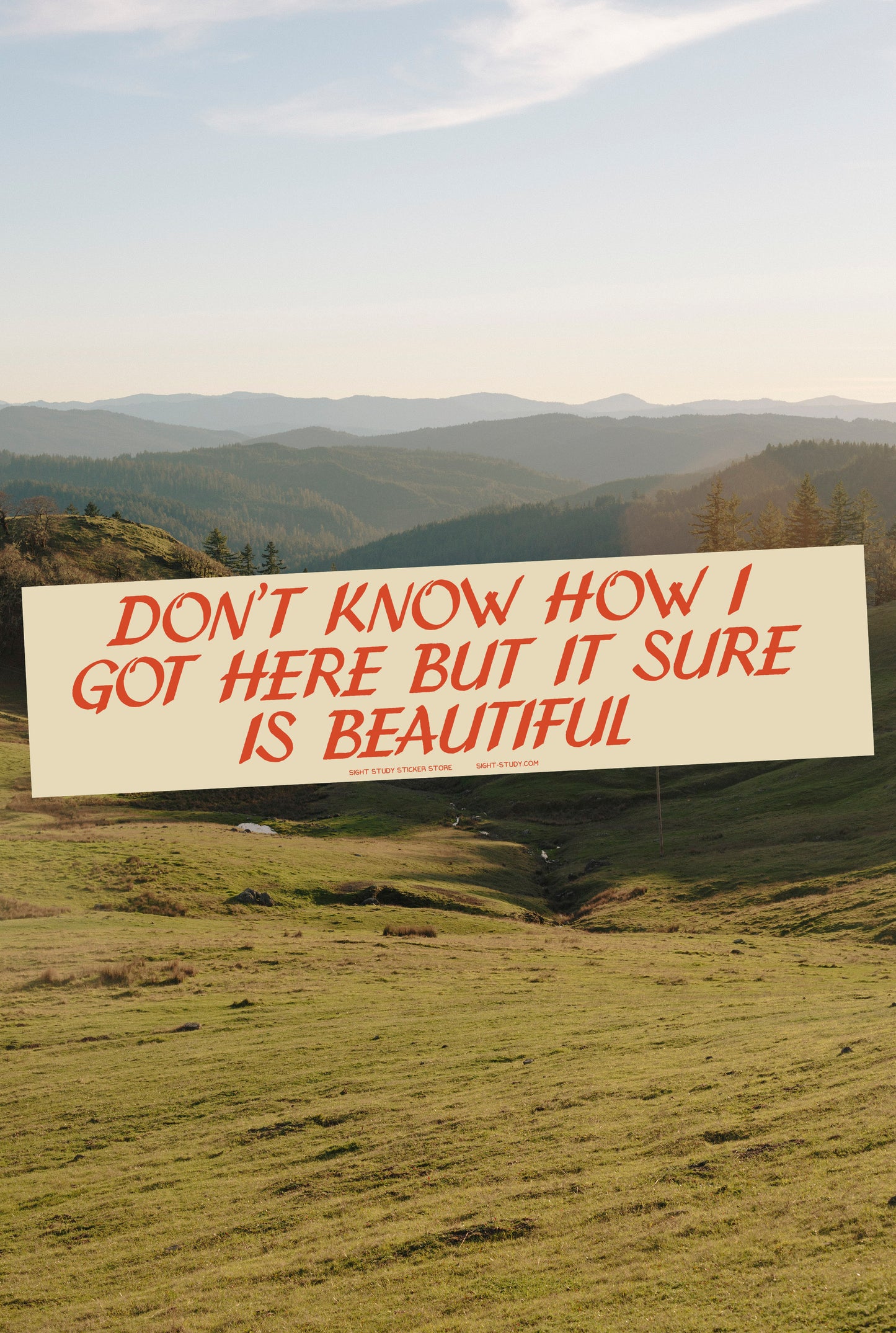 "Don't Know How I Got Here" Sticker