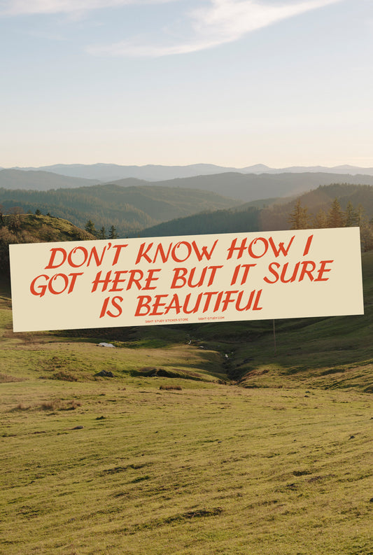 "Don't Know How I Got Here" Sticker