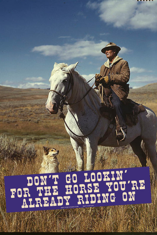 "The Horse You're Already Riding On" Sticker