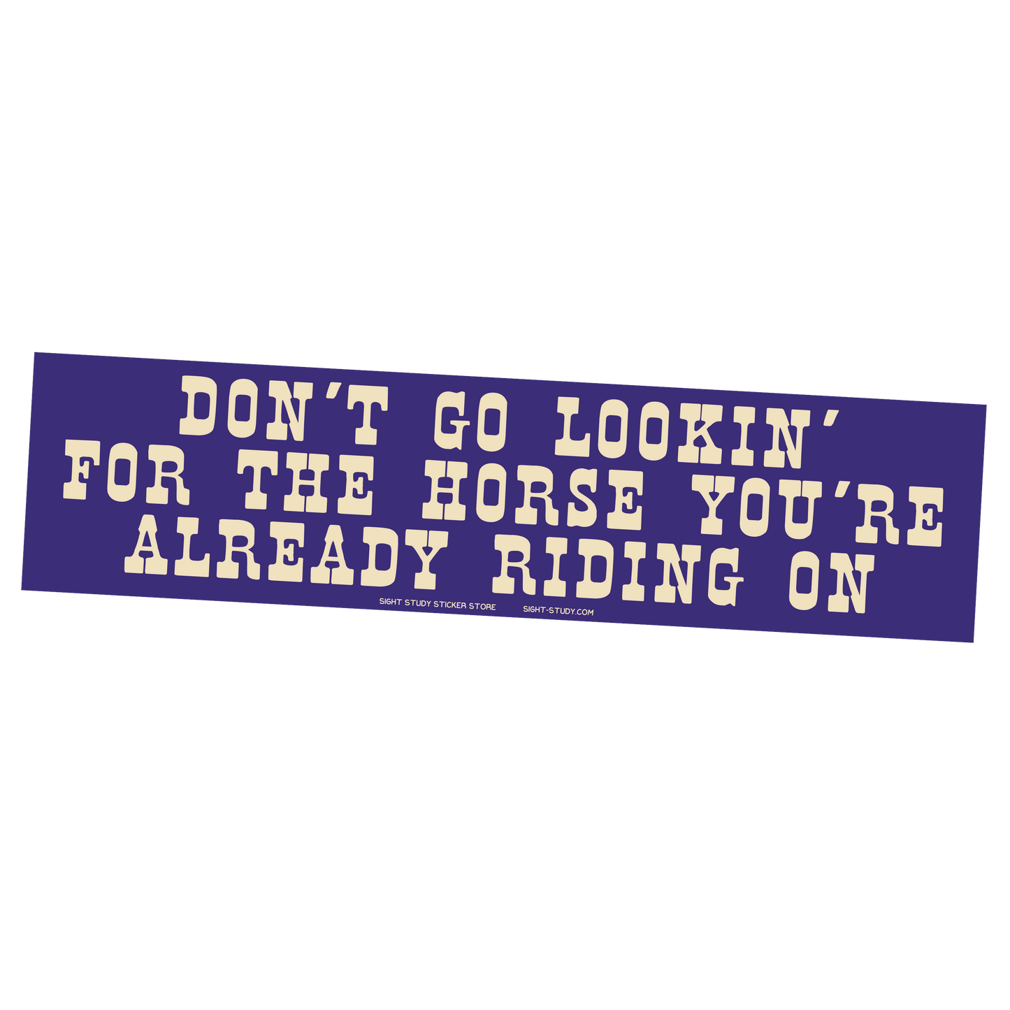 "The Horse You're Already Riding On" Sticker