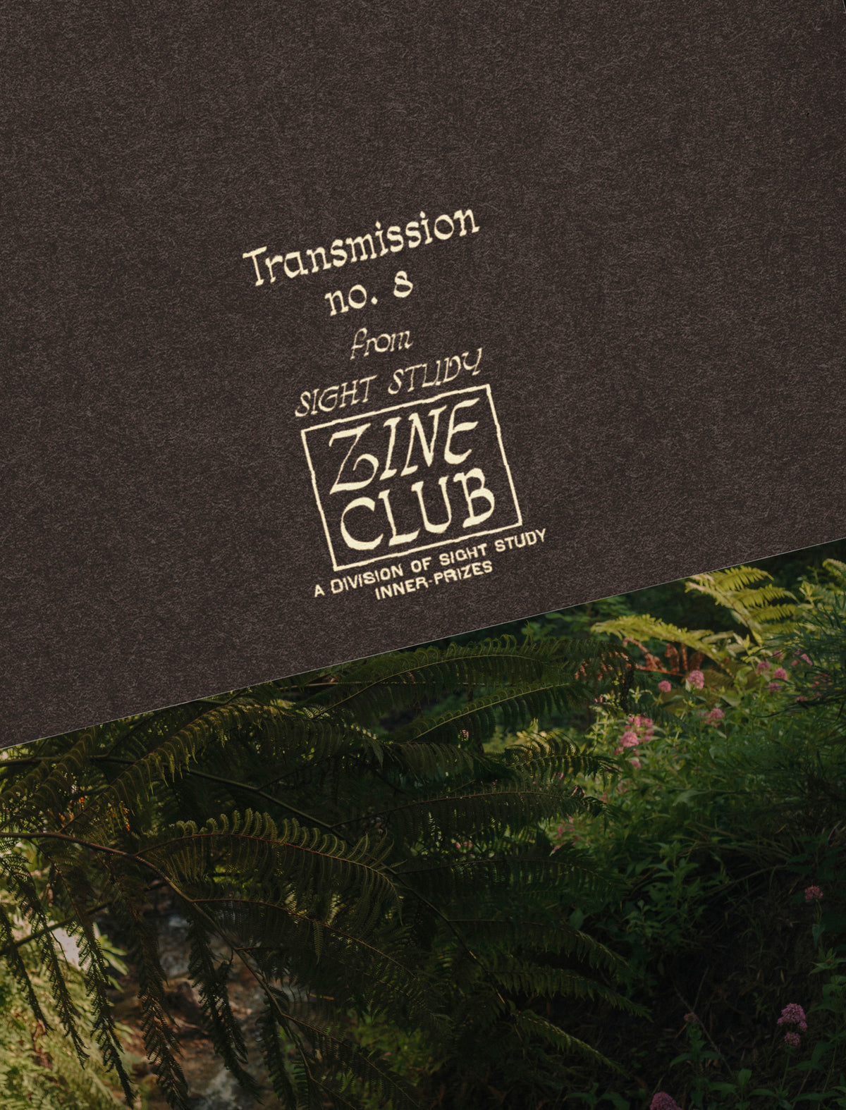 Zine Club!