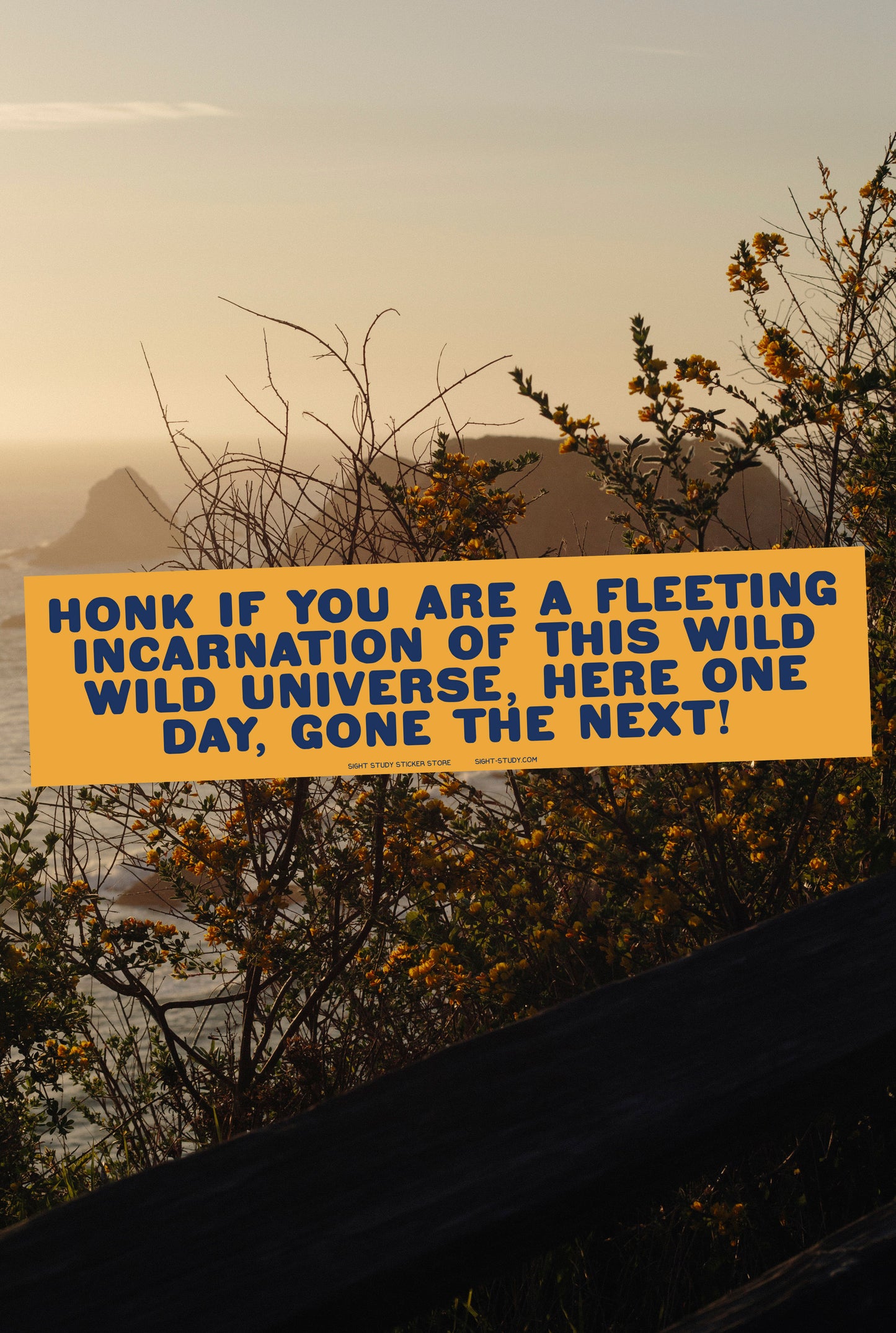 "Honk If You're A Fleeting Incarnation" Sticker