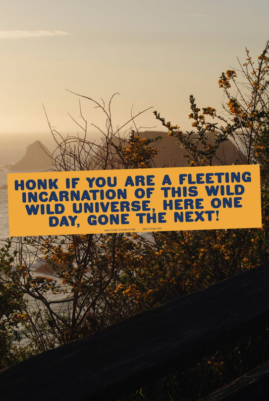 "Honk If You're A Fleeting Incarnation" Sticker