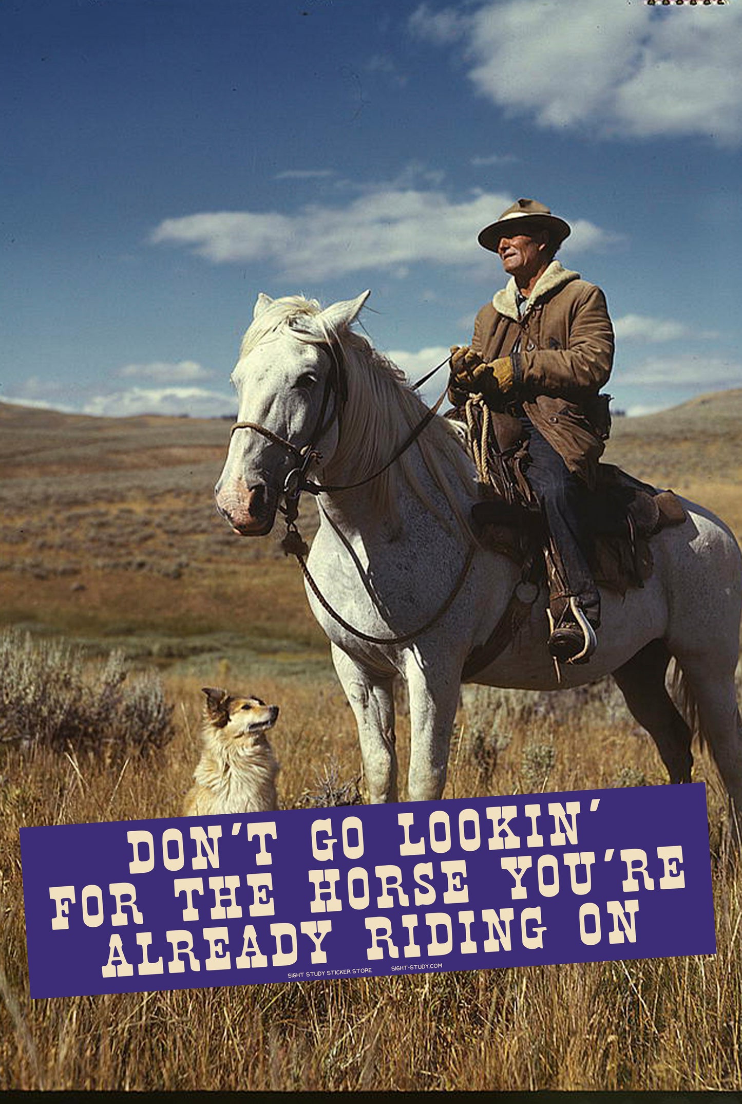 "The Horse You're Already Riding On" Sticker