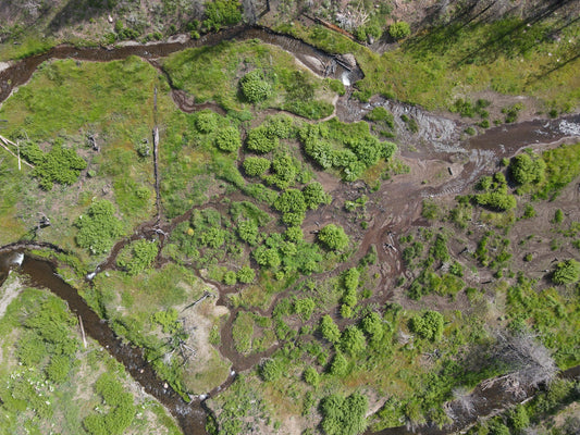 "Everything Is" Sticker