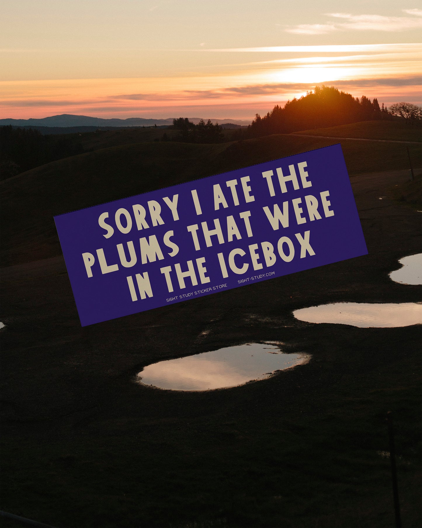 "Sorry I Ate The Plums" Sticker